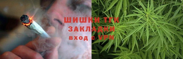 прущие грибы Абаза