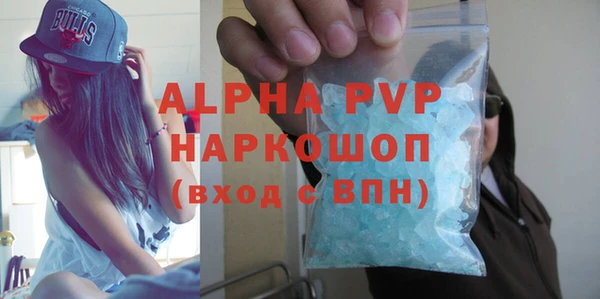 прущие грибы Абаза
