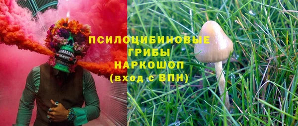 ешки Абинск