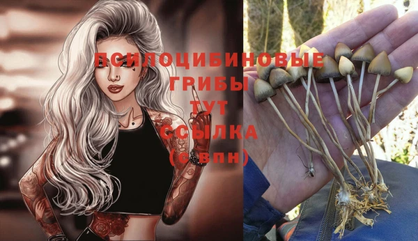 винт Абдулино