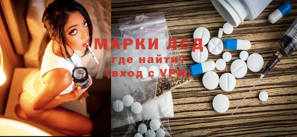 прущие грибы Абаза