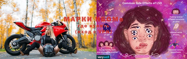 PSILOCYBIN Навашино