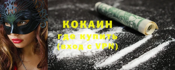 прущие грибы Абаза