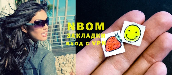 прущие грибы Абаза