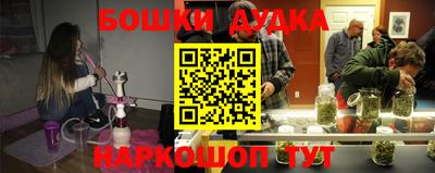 гашик Новодвинск