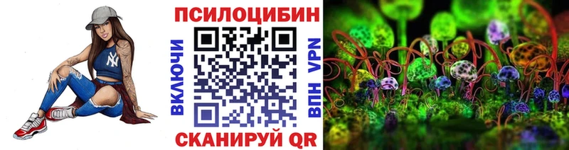 купить наркотики сайты  omg маркетплейс  Галлюциногенные грибы Psilocybe  Сызрань 