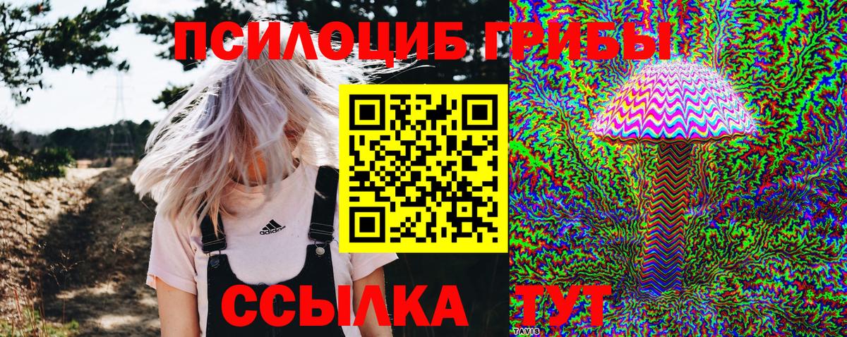 Псилоцибиновые грибы прущие грибы  Псилоцибиновые грибы ЛСД  Сызрань  Вход с VPN 